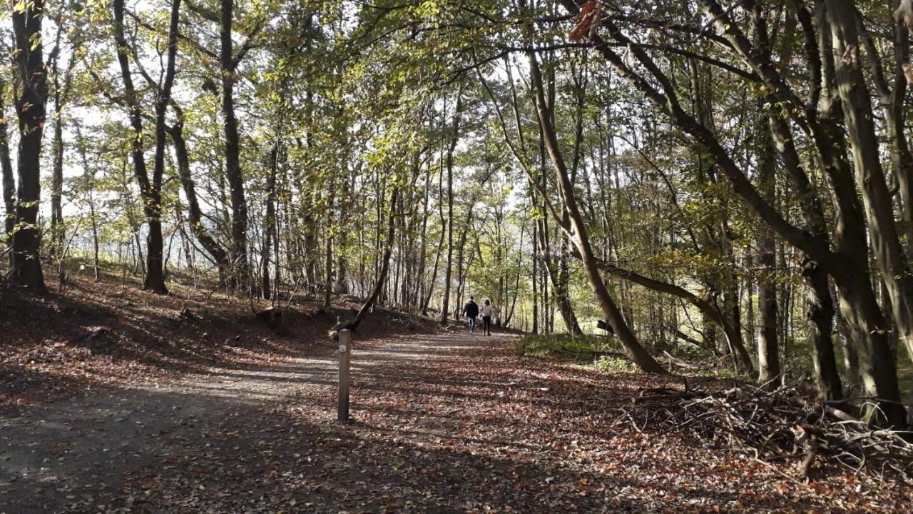 Kanne: Charming House Between Nature And Shopping エクステリア 写真